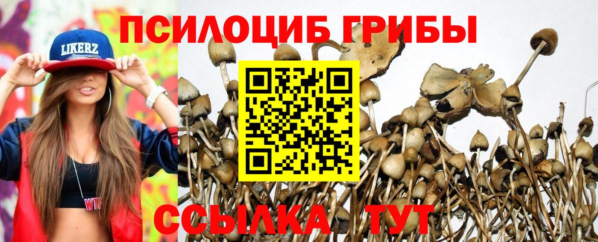 Меф кристаллы  Экстази  Конопля  COCAIN  Михайловка  НБОМе  Гашиш  МЕТ  Вход с VPN  ГАШИШ  Кетамин 